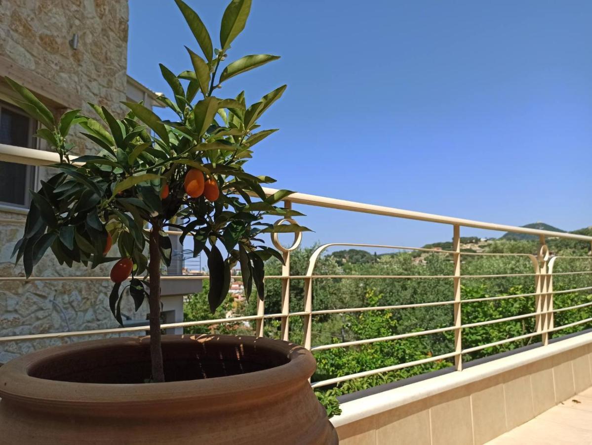 Gallery Suites פארגה מראה חיצוני תמונה