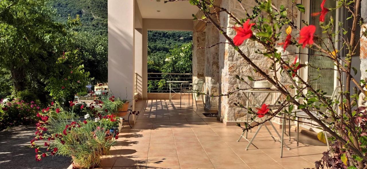 Gallery Suites פארגה מראה חיצוני תמונה